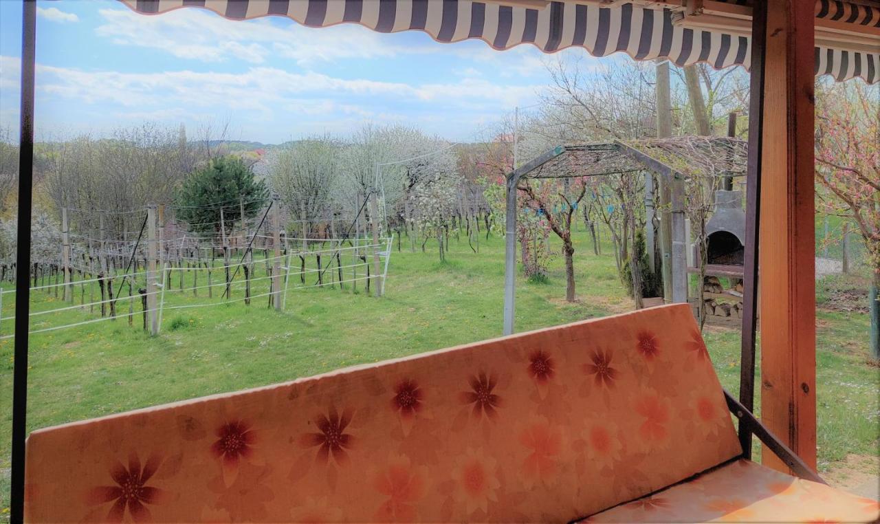 Apartma-Spa Natura Sveti Jurij ob Scavnici Exterior photo