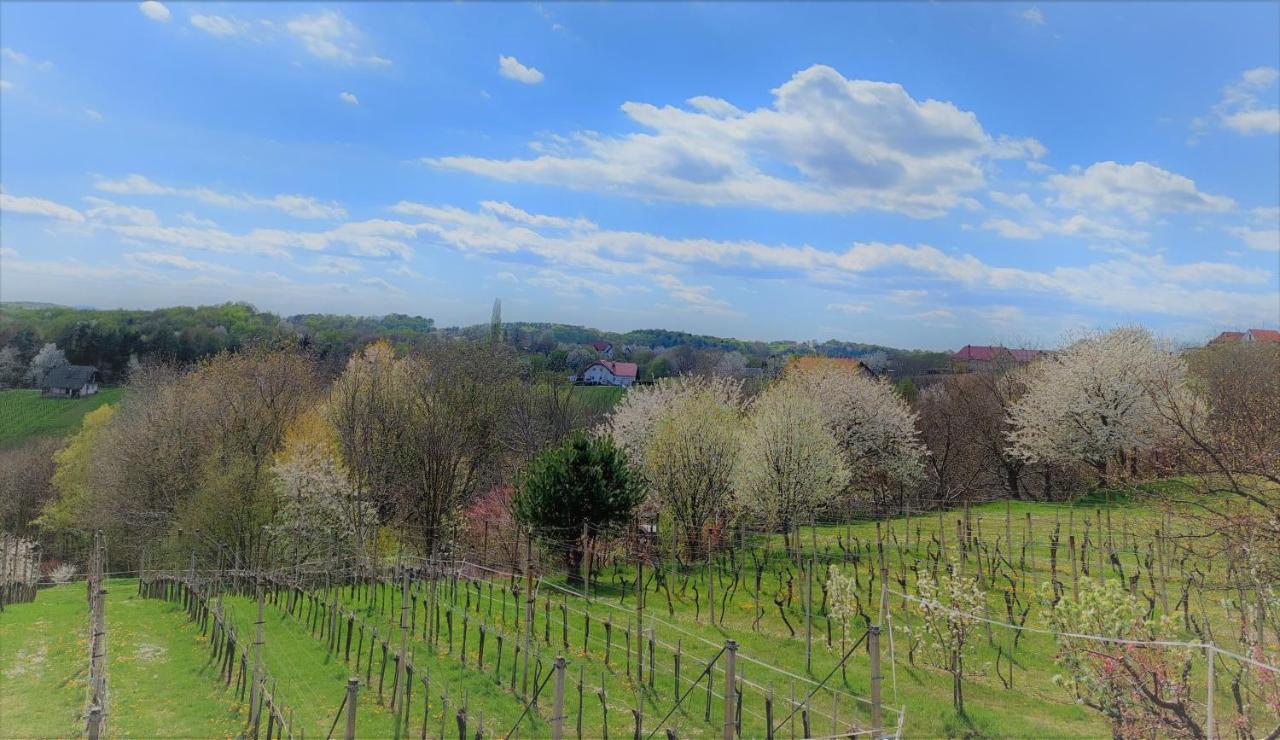 Apartma-Spa Natura Sveti Jurij ob Scavnici Exterior photo